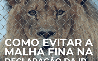 Como evitar a malha fina na declaração do Imposto de Renda