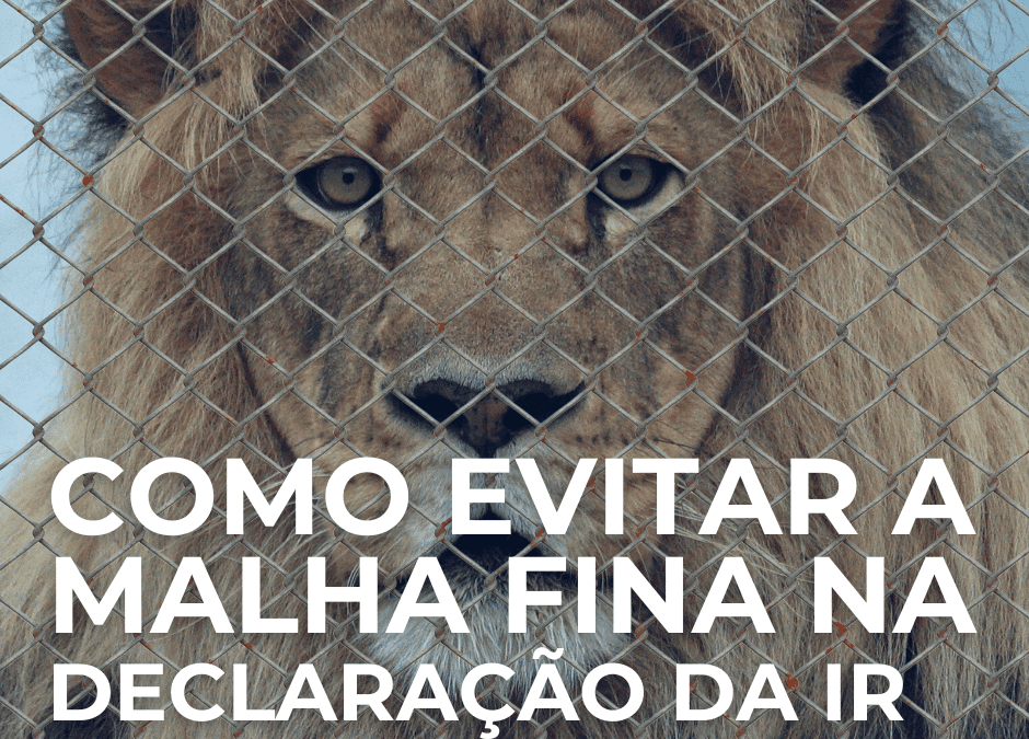 Como evitar a malha fina na declaração do Imposto de Renda